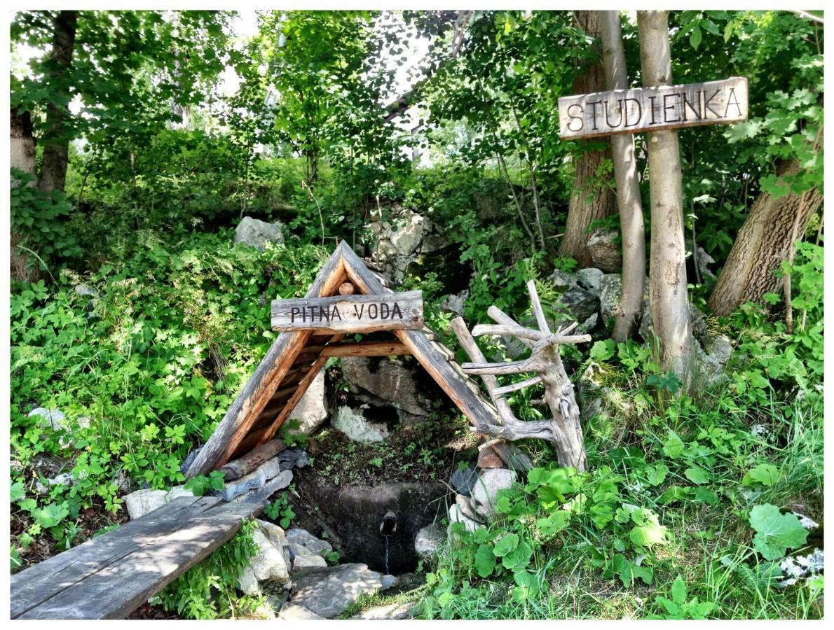 Vila Studienka Vysoké Tatry Dış mekan fotoğraf